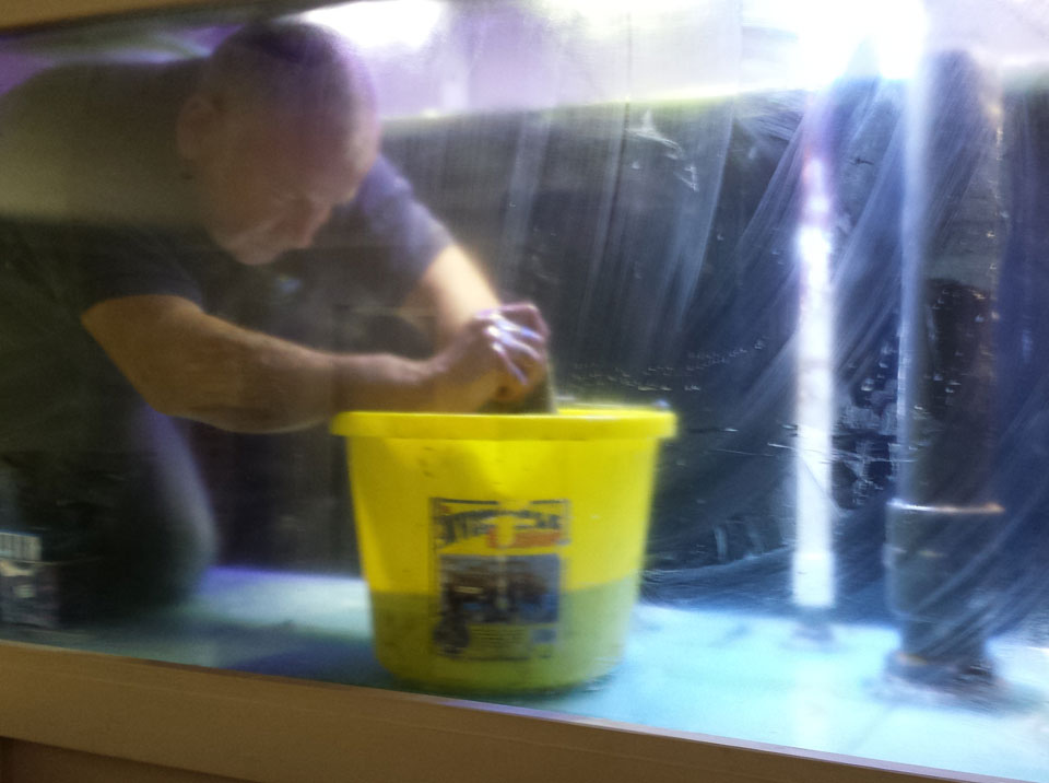 Fish Tank Maintenance in Surrey Sussex Kent Aquascape