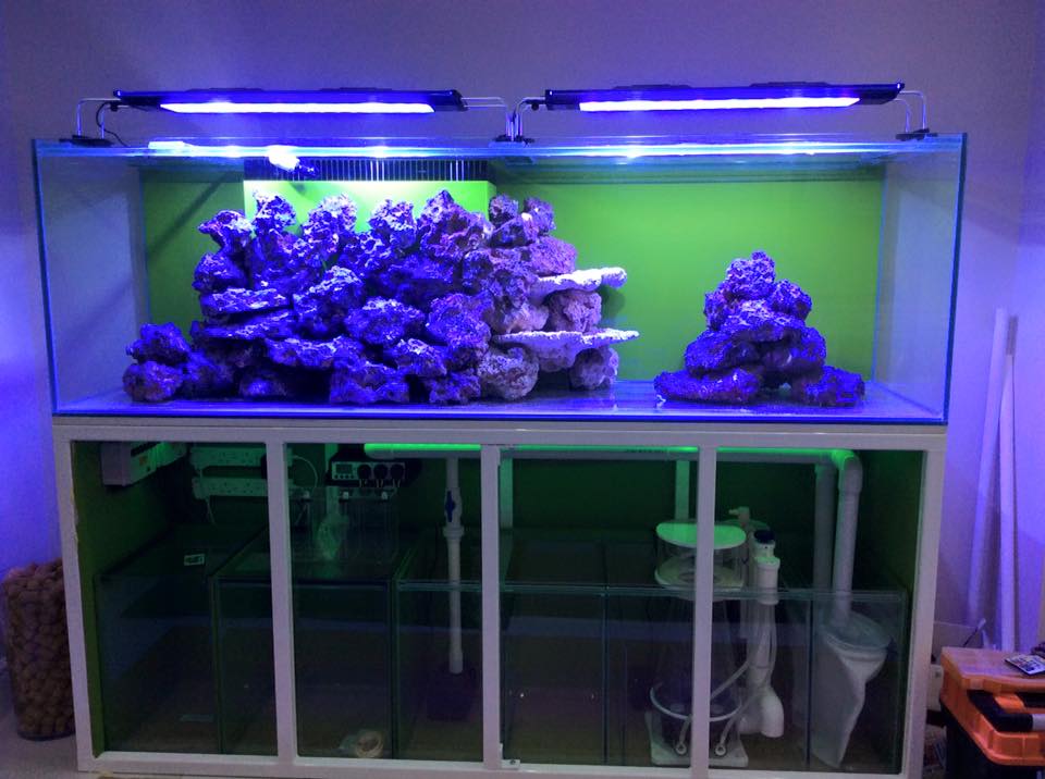 Aquarium Installation