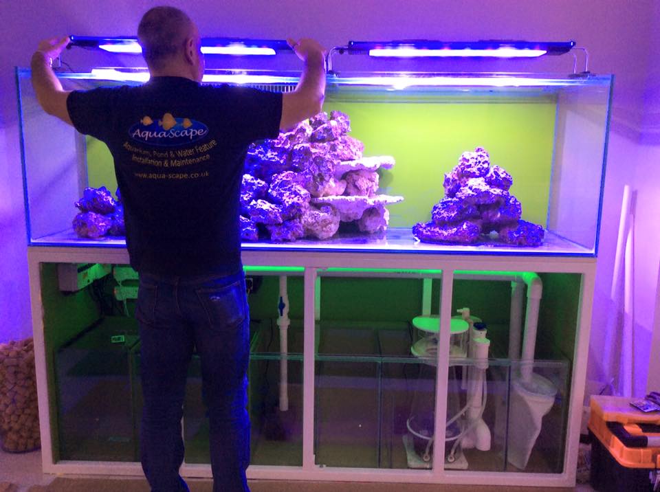 Aquarium Installation