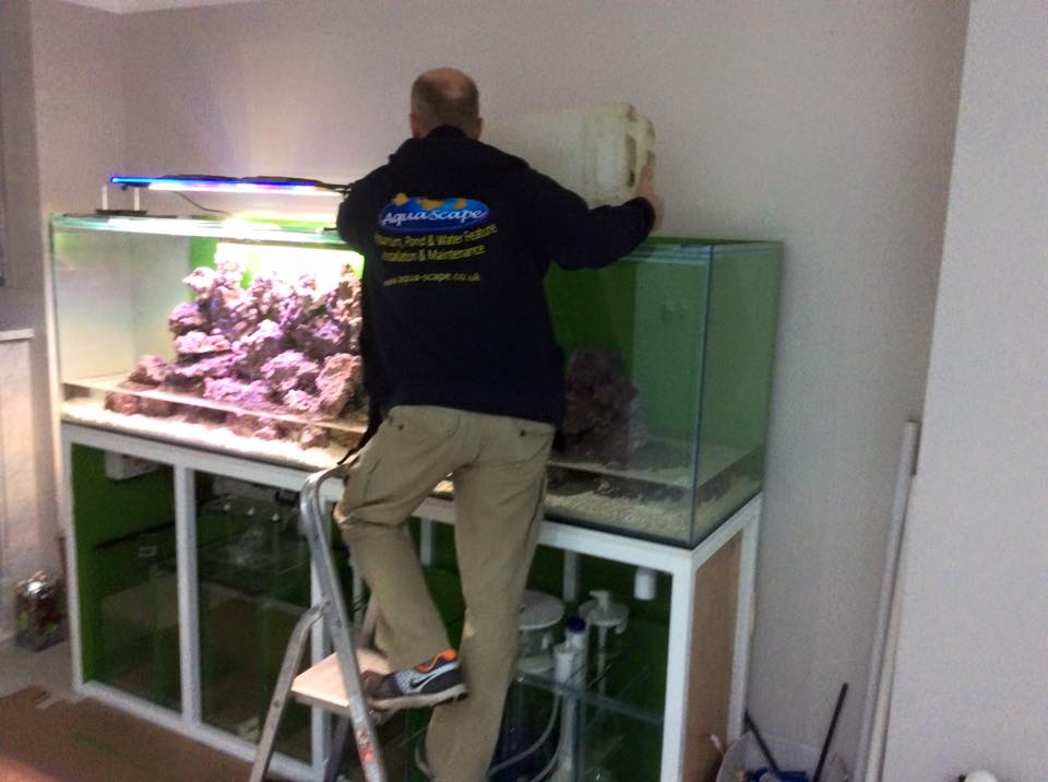 Aquarium Installation