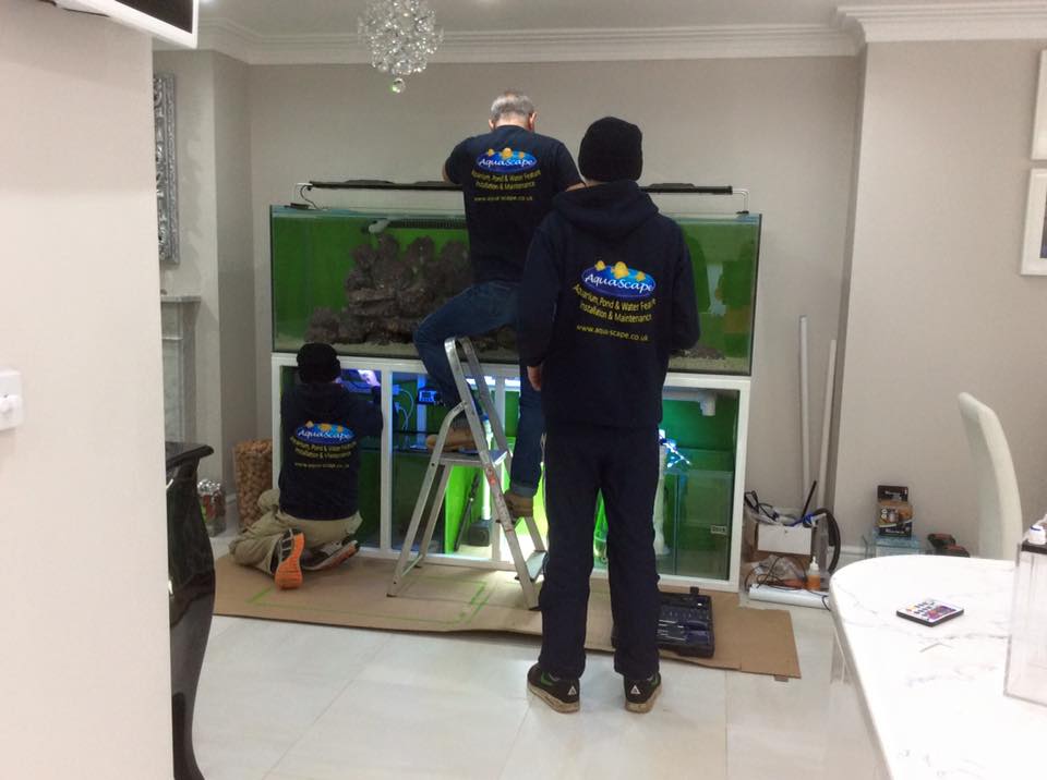 Aquarium Installation