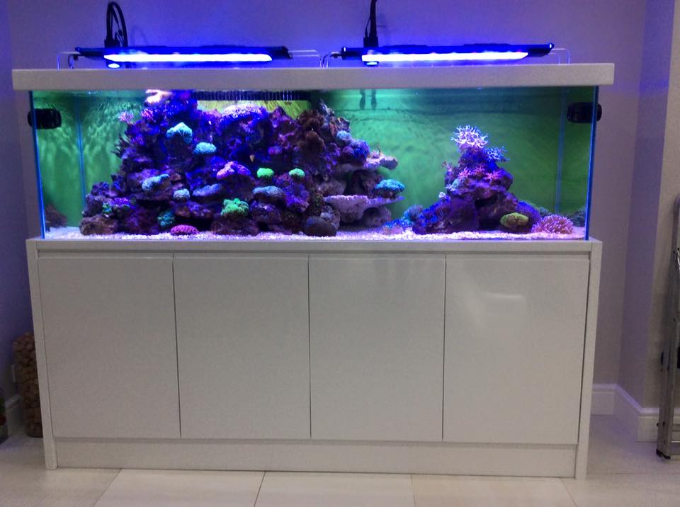 Aquarium Installation