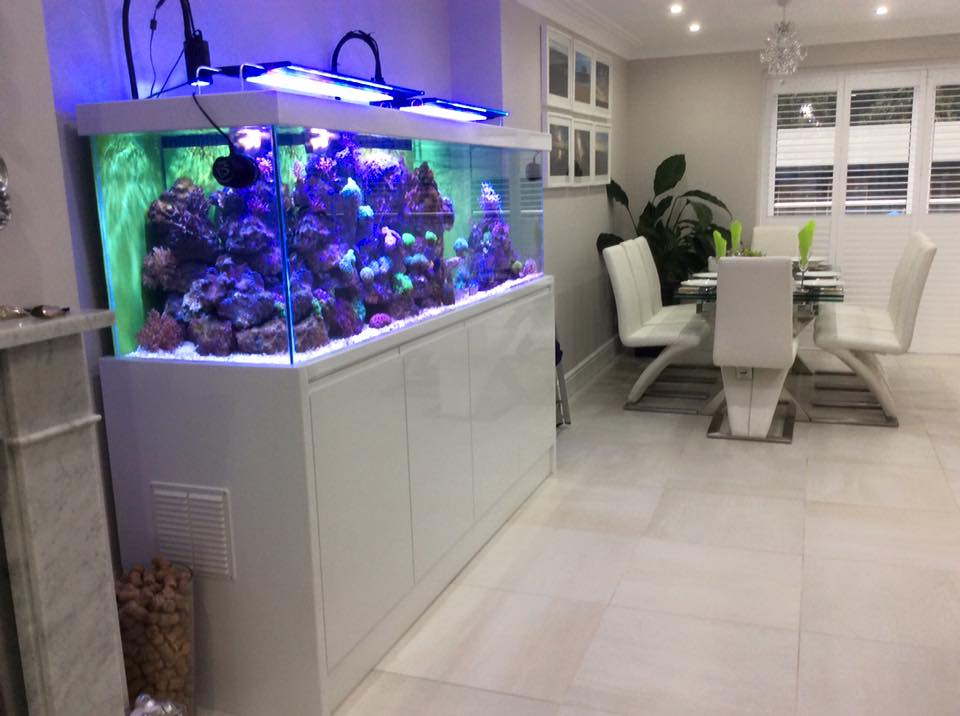 Aquarium Installation