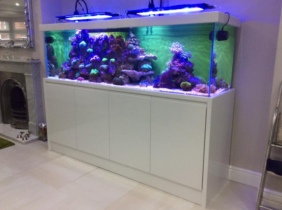 Aquarium Installation