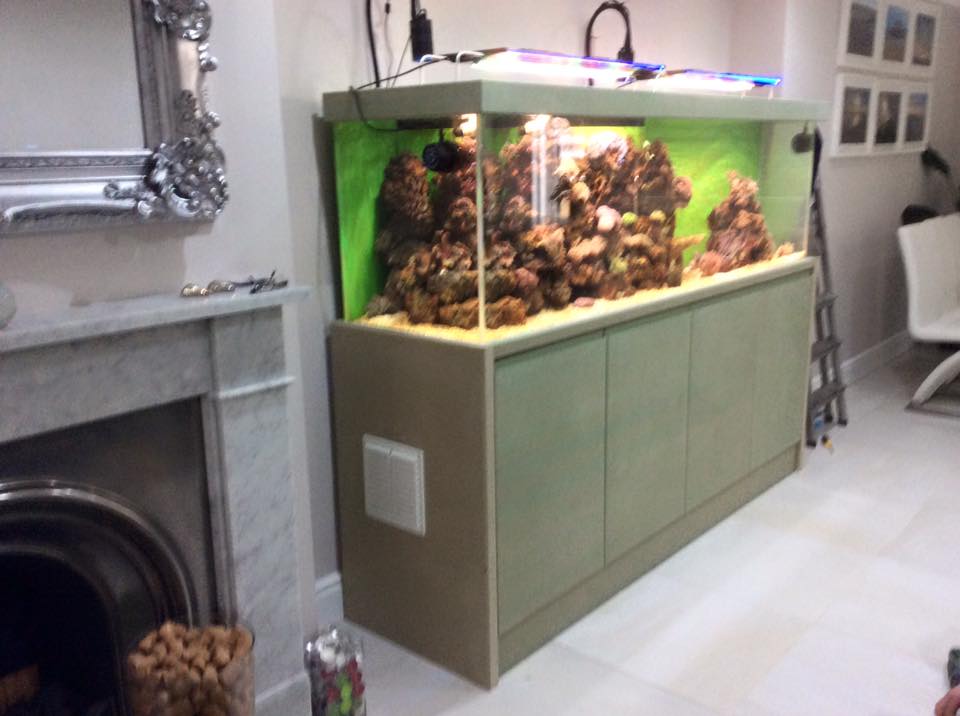 Aquarium Installation