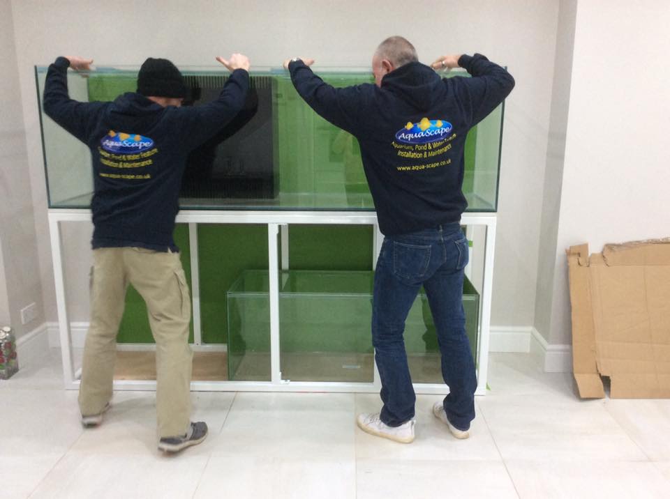 Aquarium Installation