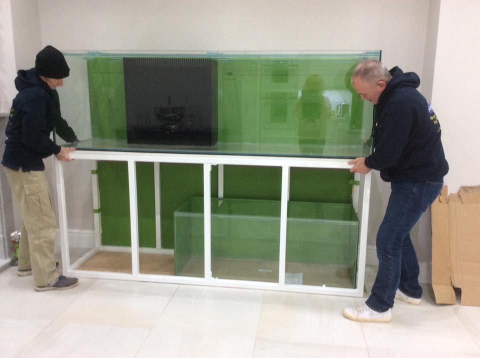 Aquarium Installation