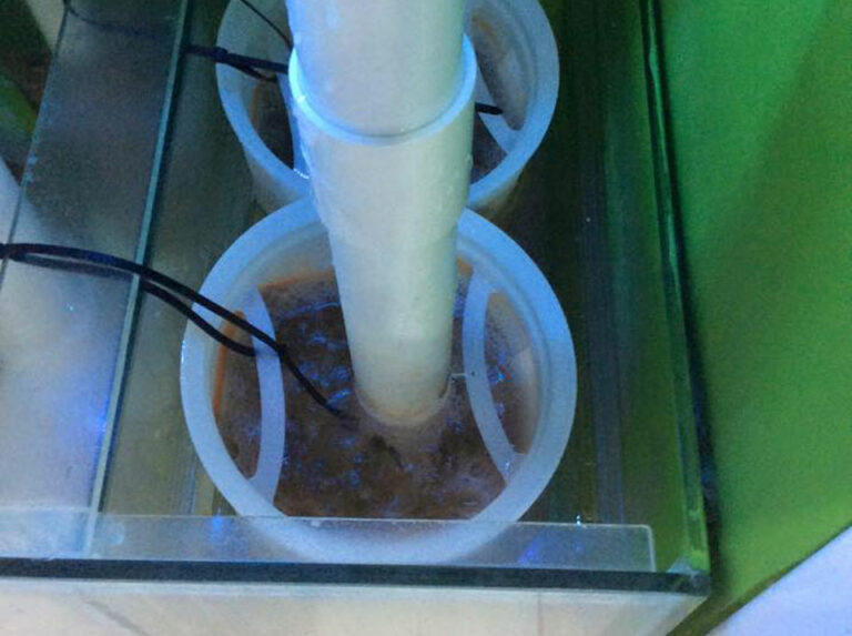 Aquarium Repair Service Aquarium Repairs Aquascape